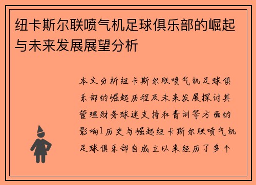 纽卡斯尔联喷气机足球俱乐部的崛起与未来发展展望分析