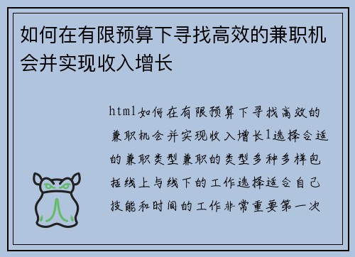 如何在有限预算下寻找高效的兼职机会并实现收入增长