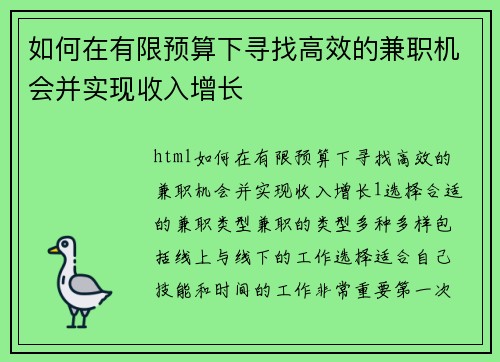 如何在有限预算下寻找高效的兼职机会并实现收入增长
