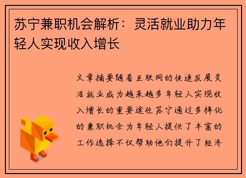 苏宁兼职机会解析：灵活就业助力年轻人实现收入增长