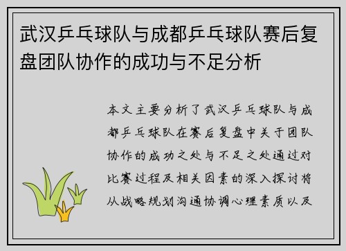 武汉乒乓球队与成都乒乓球队赛后复盘团队协作的成功与不足分析